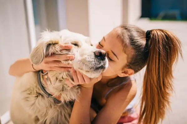 animais de estimação